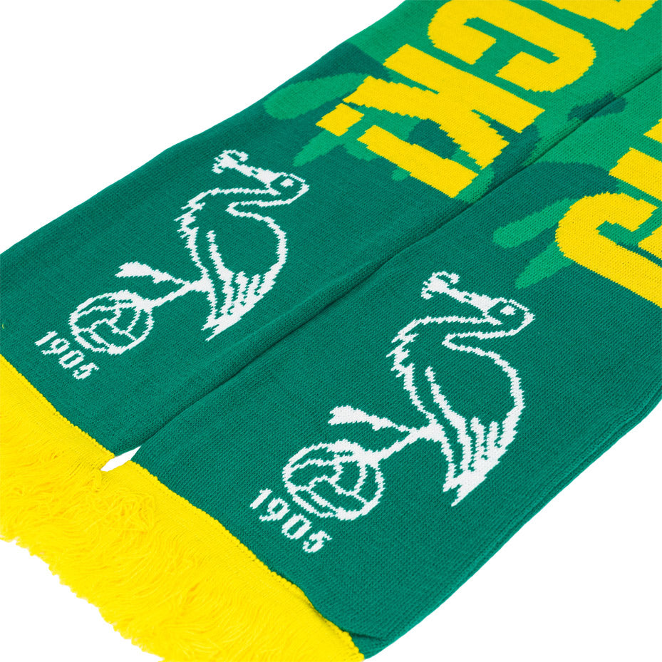 Promotie shawl - Guess who's back!