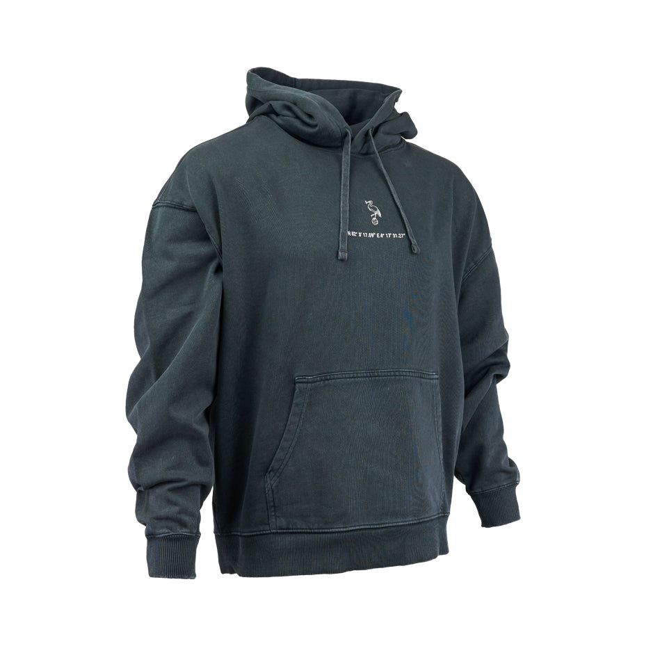 ADO Zuiderpark Hoodie - zwart